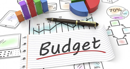 Budget Analysis